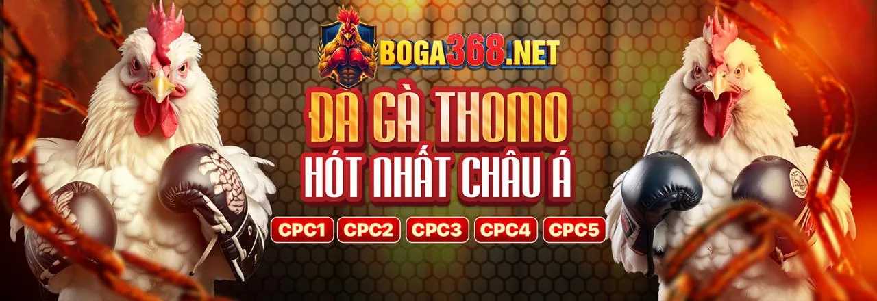 Đánh giá sâu về 32vin nhà cái