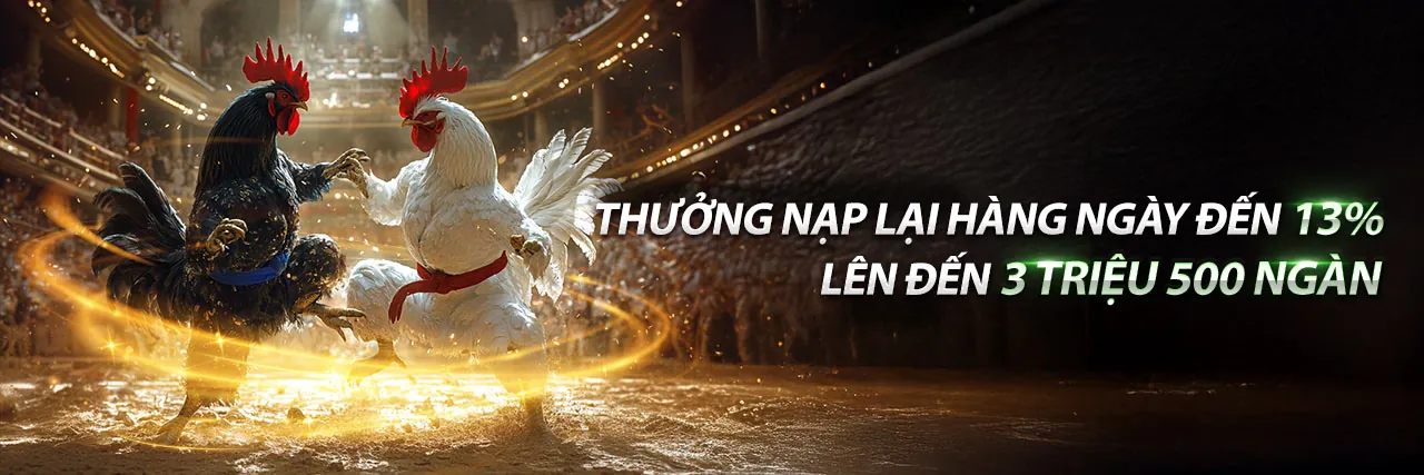 Đá Gà Trực Tuyến 32vin nhà cái