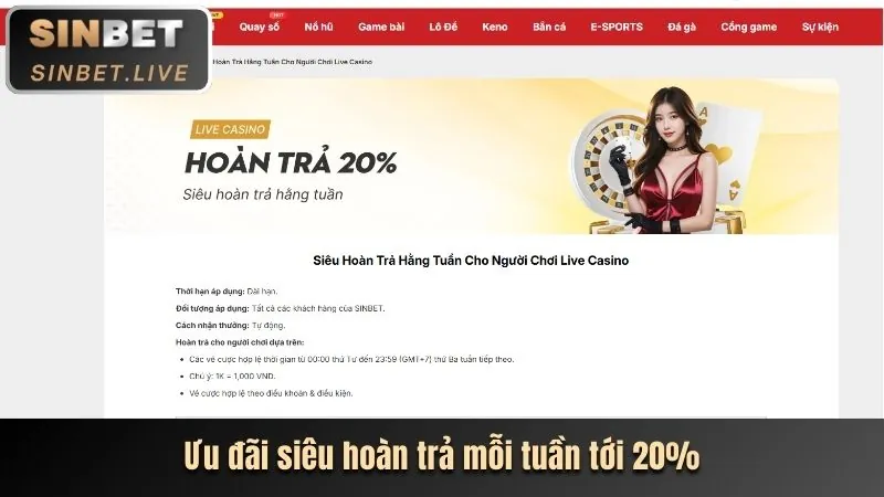 Các chương trình khuyến mãi đặc biệt khác